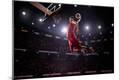 Photographic Print