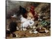 Stretched Canvas Print