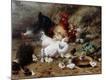 Premium Giclee Print