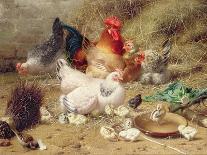 Feeding the Chickens-Eugene Remy Maes-Framed Giclee Print