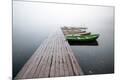 Photographic Print