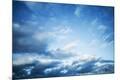 Premium Photographic Print