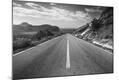 Photographic Print