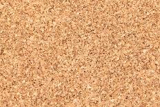 Empty Bulletin Board Background Texture, Natural Cork Board-Eugene Sergeev-Photographic Print