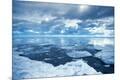 Premium Photographic Print