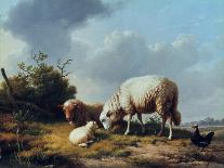 Sheep and Poultry in a Landscape, 19th Century-Eugène Verboeckhoven-Framed Premium Giclee Print