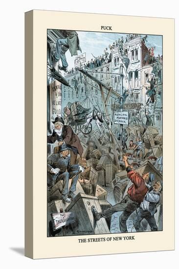 Stretched Canvas Print, , large