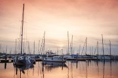 Sailing Yachts Moored in Muiderzand Marina-eugenesergeev-Photographic Print