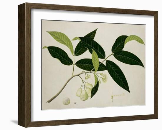 Eugenia Aquea-null-Framed Giclee Print