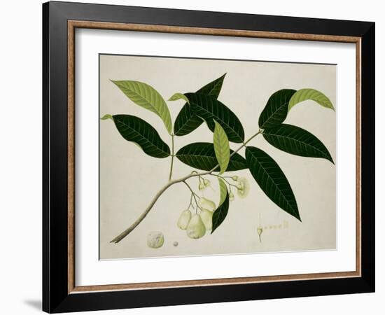 Eugenia Aquea-null-Framed Giclee Print