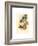 Eugenia Imperatrix (Empress Hummingbird)-Richter & Gould-Framed Giclee Print