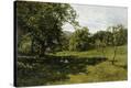 Stretched Canvas Print