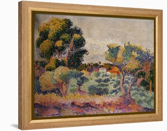 Eukalyptus und Olivenhain. 1907-Henri Edmond Cross-Framed Premier Image Canvas