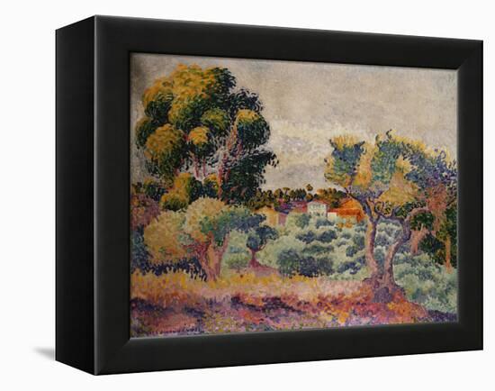 Eukalyptus und Olivenhain. 1907-Henri Edmond Cross-Framed Premier Image Canvas