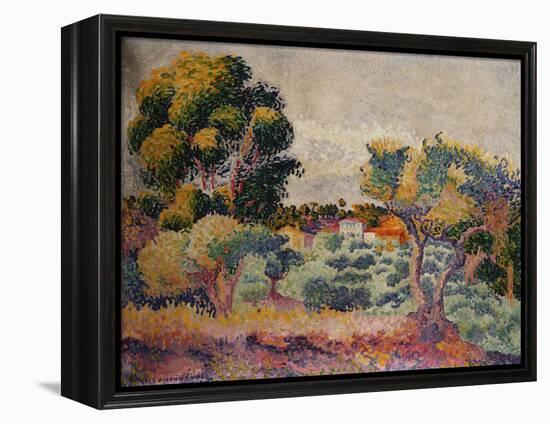 Eukalyptus und Olivenhain. 1907-Henri Edmond Cross-Framed Premier Image Canvas