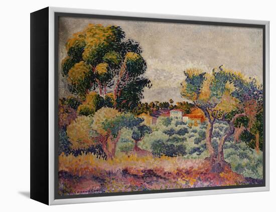 Eukalyptus und Olivenhain. 1907-Henri Edmond Cross-Framed Premier Image Canvas