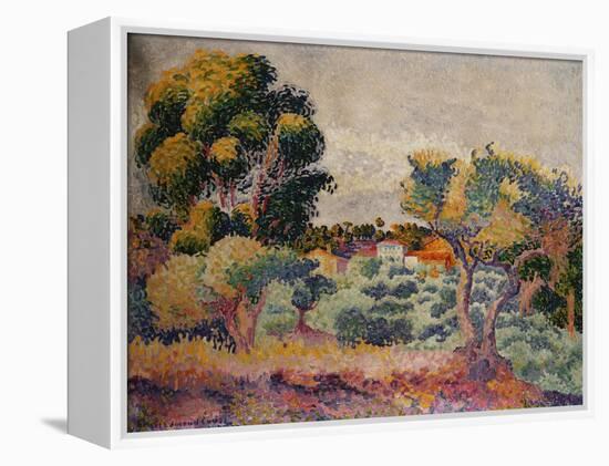 Eukalyptus und Olivenhain. 1907-Henri Edmond Cross-Framed Premier Image Canvas