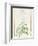 Eupatorium Deltoideum (W/C and Bodycolour over Traces of Graphite on Vellum)-Pierre Joseph Redoute-Framed Giclee Print