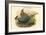 Euplocamus Lineatus - Lineated Pheasant-John Gould-Framed Art Print