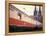 Eurailpass in Europe: Germany's Parsifal Express Speeding Past Cologne Cathedral-Carlo Bavagnoli-Framed Premier Image Canvas