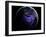 Eurasia and Africa at Night, Satellite Image-null-Framed Photographic Print