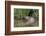 Eurasian Beaver (Castor Fiber), Captive in Breeding Programme, United Kingdom, Europe-Ann and Steve Toon-Framed Photographic Print