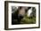 Eurasian Brown Bear (Ursus Arctos) Close Up of Nose While Investigates Remote Camera, Finland-Widstrand-Framed Photographic Print