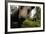 Eurasian Brown Bear (Ursus Arctos) Close Up of Nose While Investigates Remote Camera, Finland-Widstrand-Framed Photographic Print