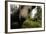 Eurasian Brown Bear (Ursus Arctos) Close Up of Nose While Investigates Remote Camera, Finland-Widstrand-Framed Photographic Print