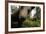 Eurasian Brown Bear (Ursus Arctos) Close Up of Nose While Investigates Remote Camera, Finland-Widstrand-Framed Photographic Print