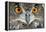 Eurasian Eagle Owl Adult-null-Framed Premier Image Canvas