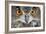 Eurasian Eagle Owl Adult-null-Framed Photographic Print