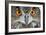 Eurasian Eagle Owl Adult-null-Framed Photographic Print