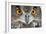 Eurasian Eagle Owl Adult-null-Framed Photographic Print