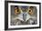 Eurasian Eagle Owl Adult-null-Framed Photographic Print