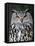 Eurasian Eagle-Owl Captive, France-Eric Baccega-Framed Premier Image Canvas