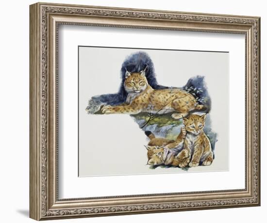 Eurasian Lynx Female (Lynx Lynx) and Her Cubs, Felidae-null-Framed Giclee Print