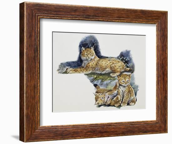 Eurasian Lynx Female (Lynx Lynx) and Her Cubs, Felidae-null-Framed Giclee Print