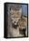 Eurasian lynx kitten, aged eight months, nuzzling its mother-Edwin Giesbers-Framed Premier Image Canvas