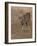 Eurasian lynx walking, Castilla La Mancha, Spain-Loic Poidevin-Framed Photographic Print