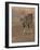 Eurasian lynx walking, Castilla La Mancha, Spain-Loic Poidevin-Framed Photographic Print