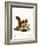 Eurasian Red Squirrel-null-Framed Giclee Print