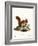 Eurasian Red Squirrel-null-Framed Giclee Print