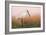 Eurasian Spoonbill - Left-Staffan Widstrand-Framed Giclee Print