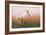 Eurasian Spoonbill - Left-Staffan Widstrand-Framed Giclee Print