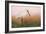 Eurasian Spoonbill - Left-Staffan Widstrand-Framed Giclee Print