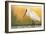 Eurasian Spoonbill - Right-Staffan Widstrand-Framed Giclee Print