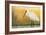 Eurasian Spoonbill - Right-Staffan Widstrand-Framed Giclee Print