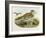 Eurasian Thick-Knee (Burhinus Oedicnemus)-John Gould-Framed Giclee Print