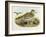 Eurasian Thick-Knee (Burhinus Oedicnemus)-John Gould-Framed Giclee Print